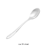 قاشق چای خوری استیل ام جی اس مدل DF020